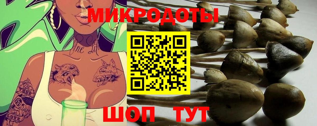 Псилоцибиновые грибы мухоморы  Вход с VPN  Обнинск 